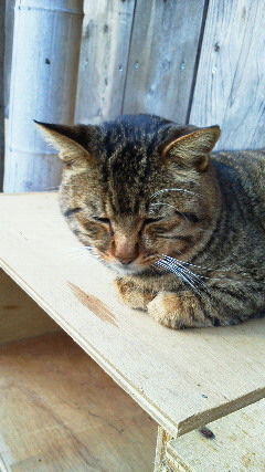 201212090921000.jpg