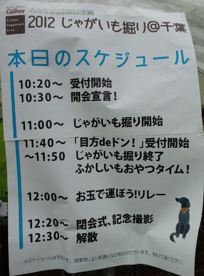 スケジュール.jpg
