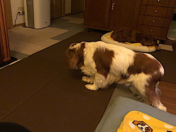 rblog-20180406014530-03.jpg