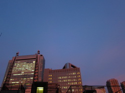 IMG_9233_サイズ変更.JPG