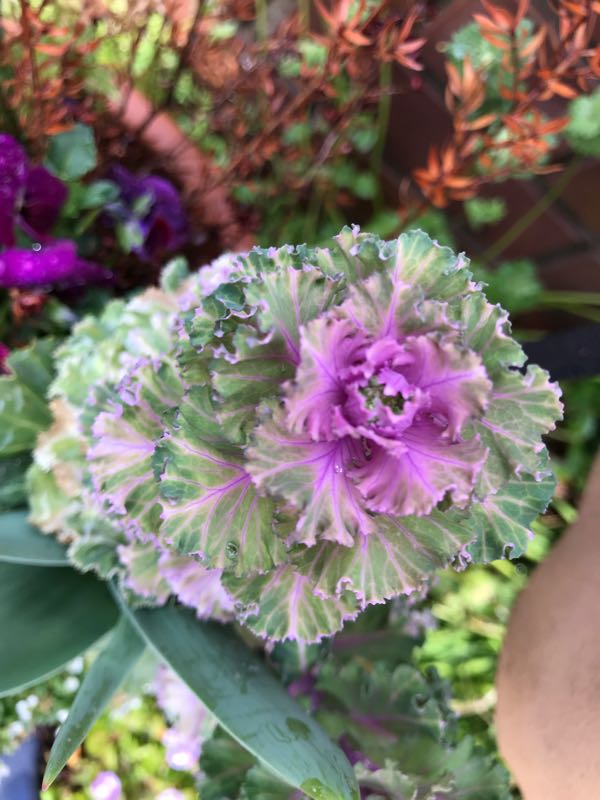 rblog-20190401163447-09.jpg