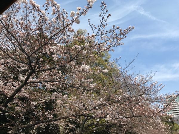rblog-20170405192805-04.jpg