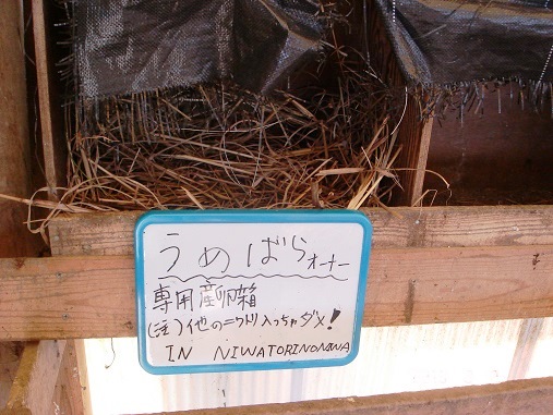 専用産卵箱.jpg