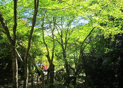 瀧道の横の川