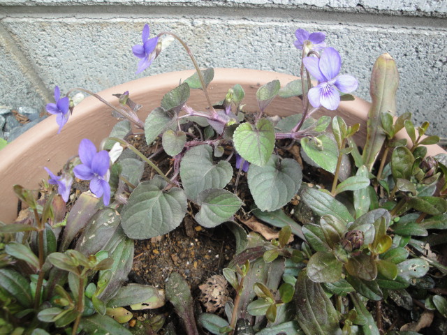 DSC01901.JPG