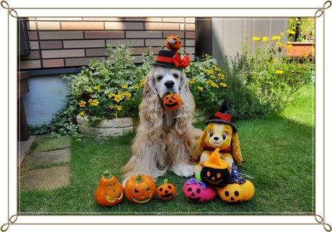 2012　ハッピーハロウィン.♪.JPG