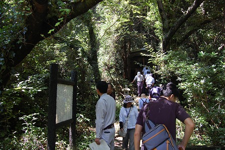 s-DSC_0470.jpg