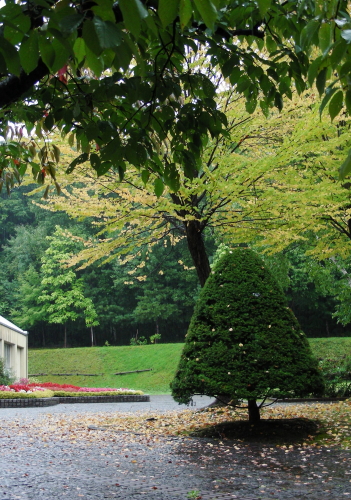 2017-09-12mori (1).JPG