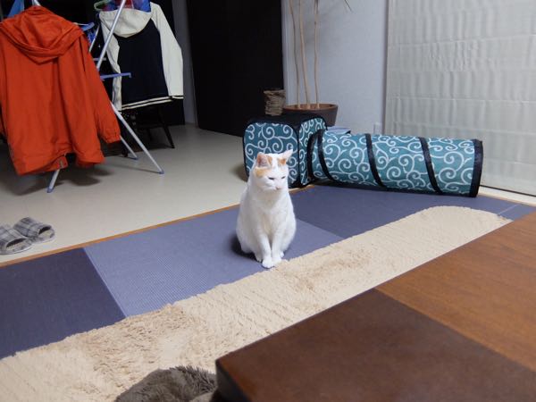 rblog-20141231061533-04.jpg