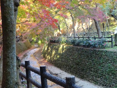 北野天満宮　2012秋８.jpg