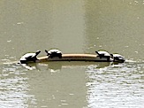 IMG_2418.JPG