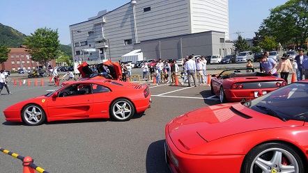 1463443043942[1].jpg