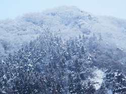 雪の山　1.20　2013