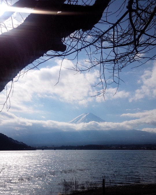 河口湖と富士山