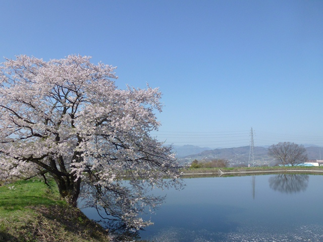 P1000344 - コピー.JPG