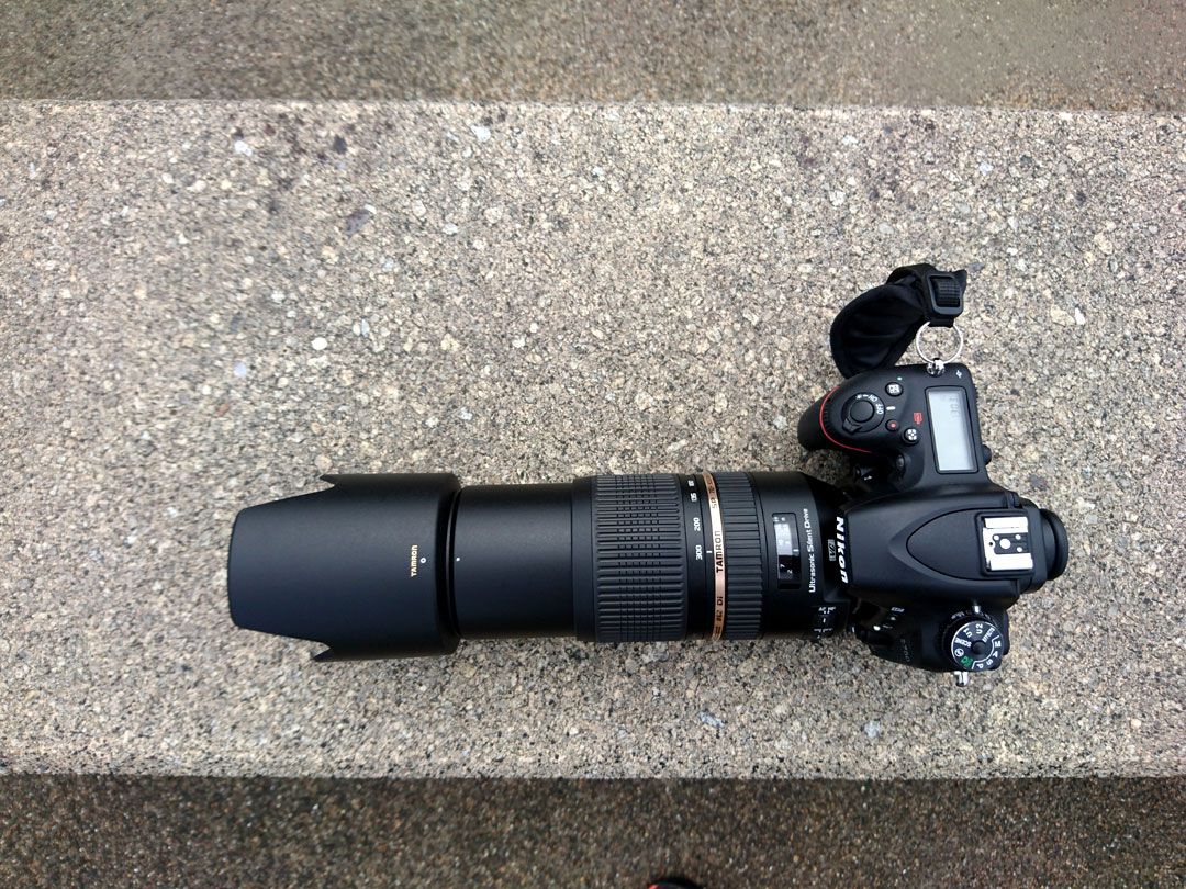 TAMRON SP70-300mm F/4-5.6 Di VC USD (Model A005) | ロド丸の