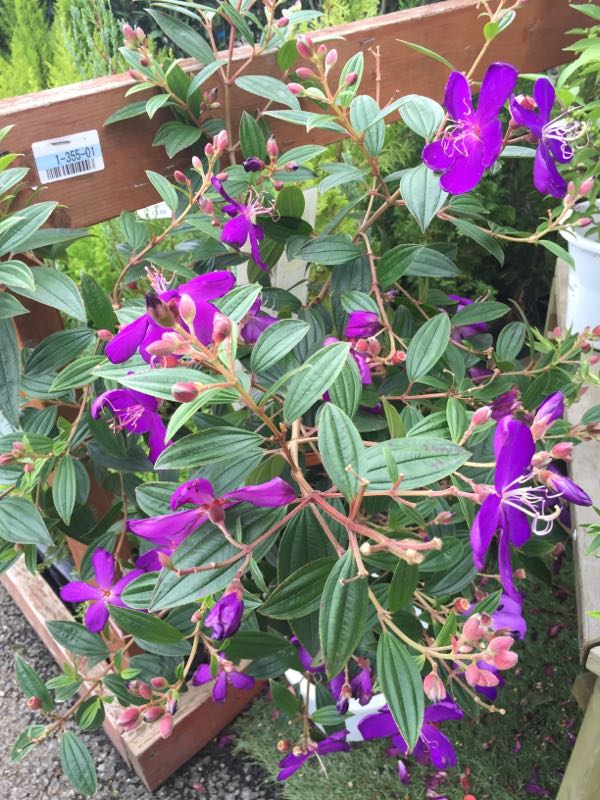 rblog-20160911152312-08.jpg