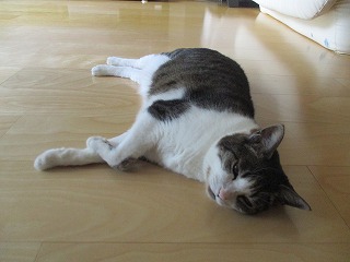 IMG_4776ss.jpg