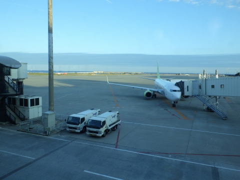 沖縄磯採集2015年11月下旬48　那覇空港