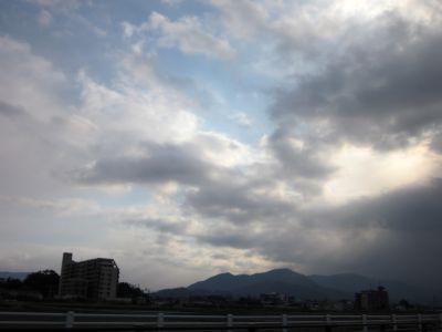 IMG_7884.JPG