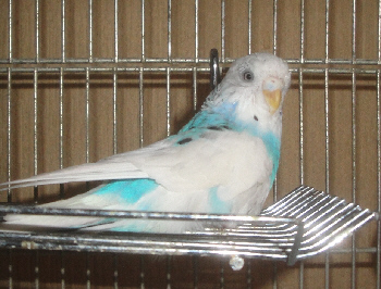 2012/12/16(4)