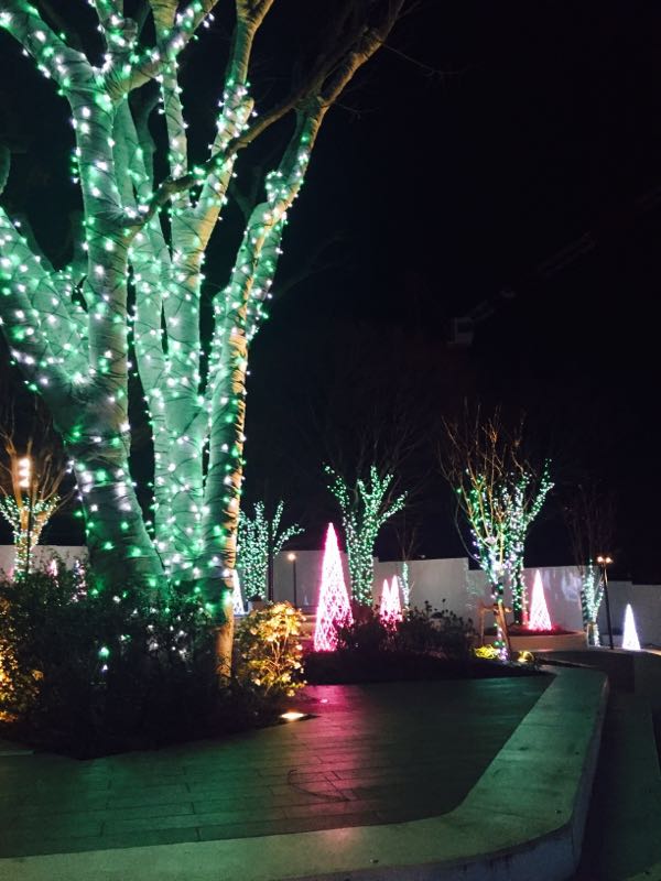 rblog-20151229195849-00.jpg