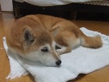 DSCF8504.JPG