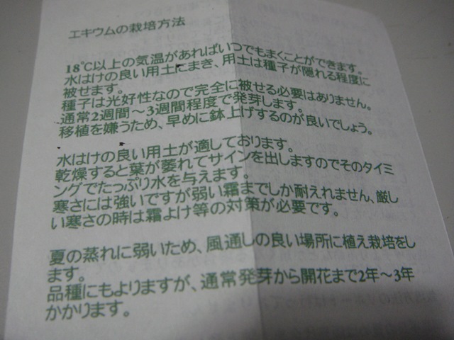 DSC06954_R.JPG