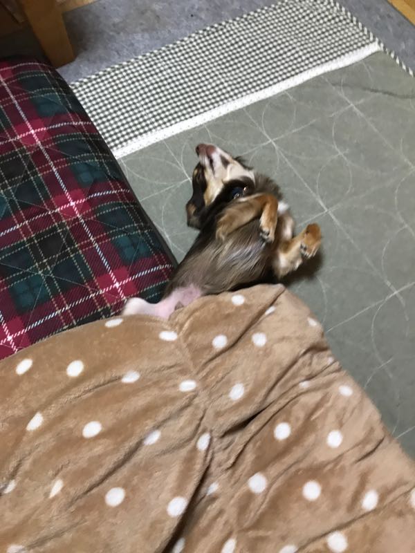 rblog-20180115222438-02.jpg