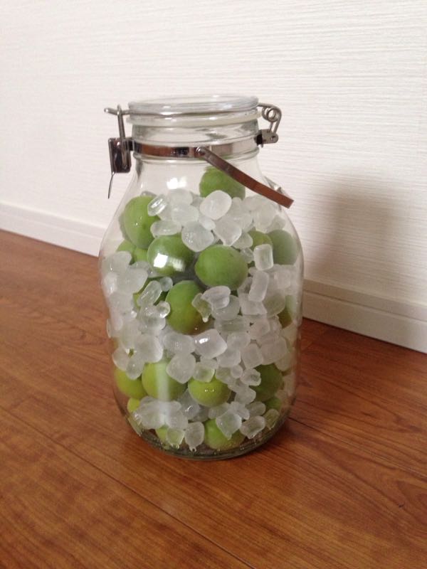 rblog-20150602182400-01.jpg
