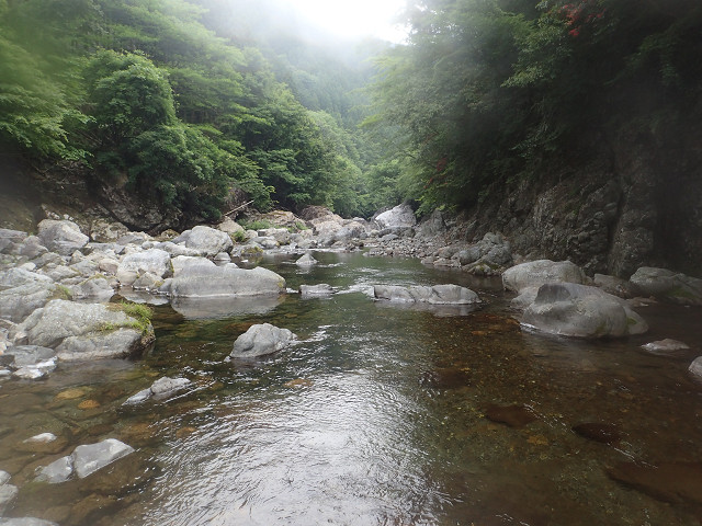 resize0018.jpg