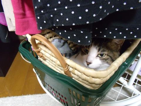 お土産 002.jpg