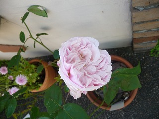 P1020185ss.jpg