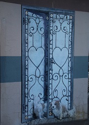 IMG_6338-1.jpg