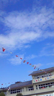 201209290959000.jpg