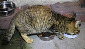 5DA_8882-3.jpg