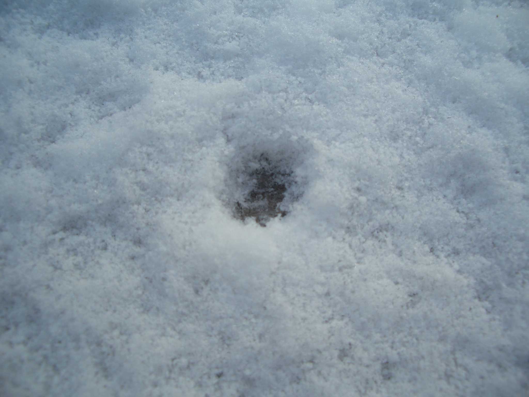 古民家に雪が積もった⛄。 古民家ライフスタイル 楽天ブログ