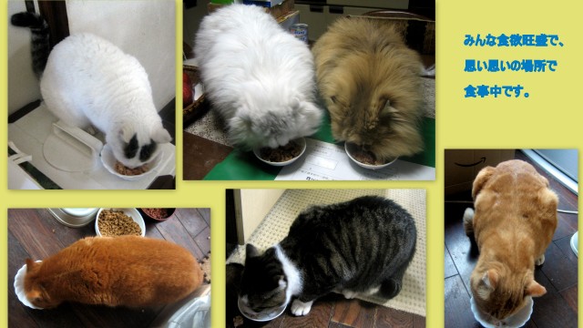 朝食タイム