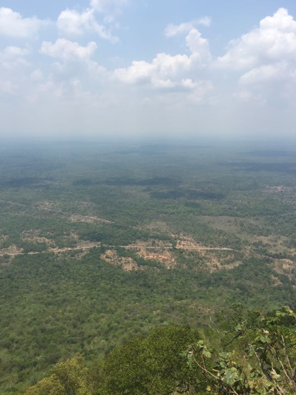 rblog-20190512192426-01.jpg