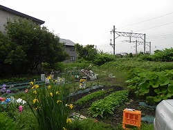 DSCN6567.jpg