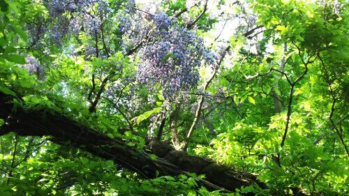 rblog-20180528163012-03.jpg