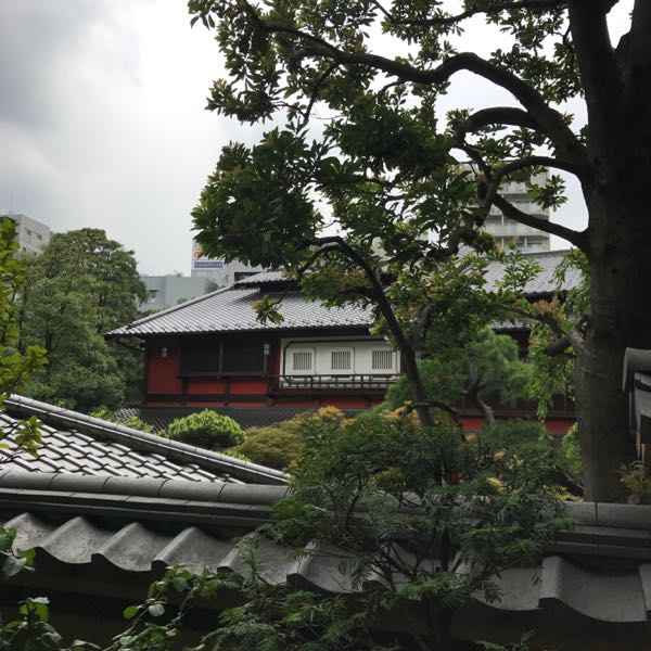 rblog-20170802100618-03.jpg