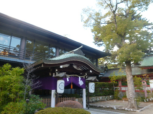 P1140975(1).JPG