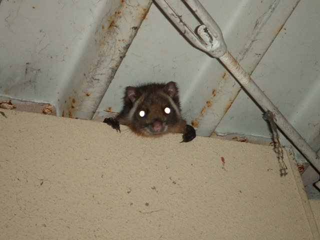 DSCF8715.JPG