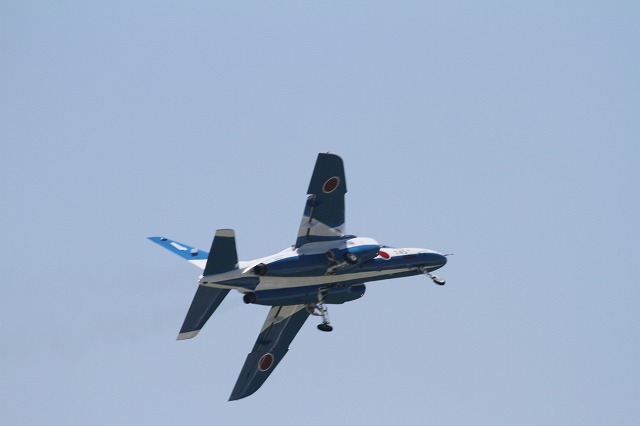 IMG_8083.jpg