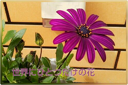 rblog-20160425211901-00.jpg
