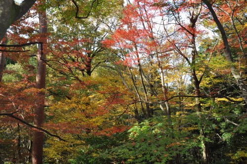 寺家公園