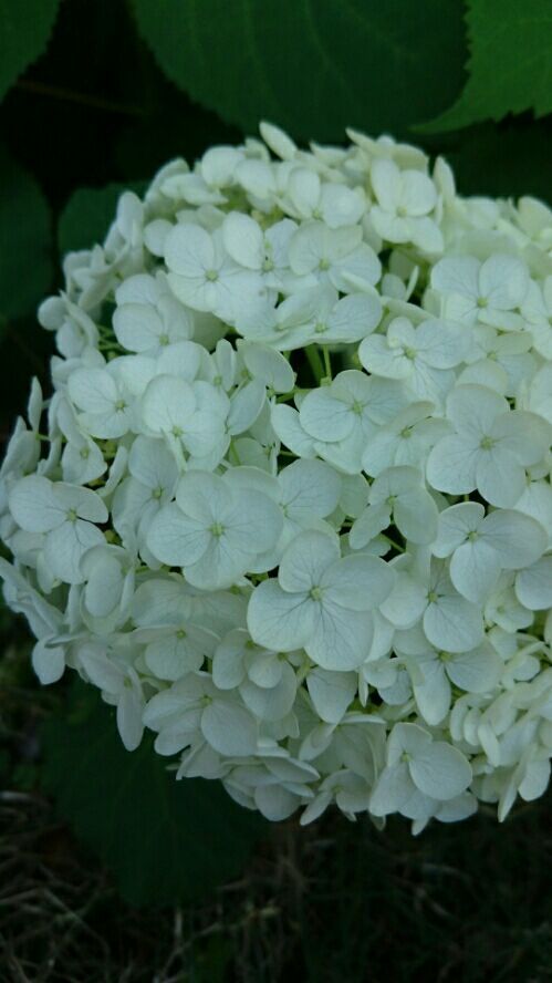 rblog-20180603231705-00.jpg