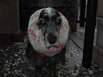 DSCN1531.JPG