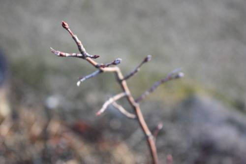2015022505.JPG